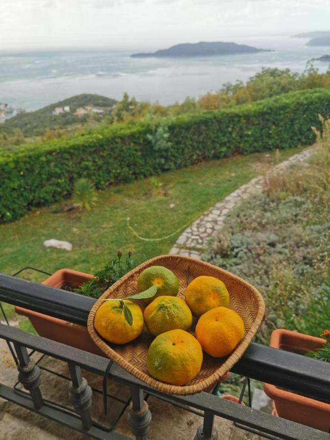 Lux Villa Provence Будва Экстерьер фото